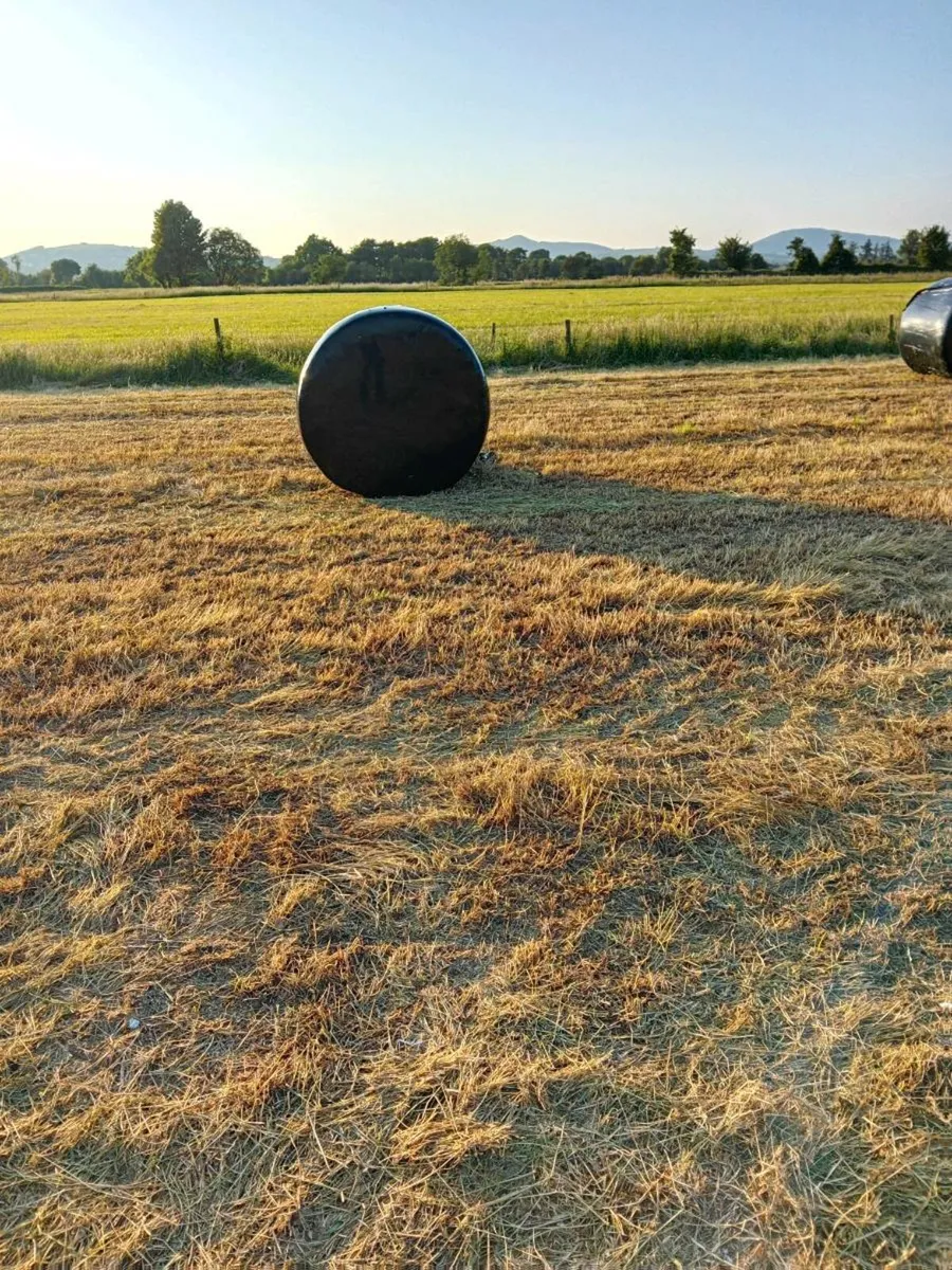 Silage  Bales - Image 1