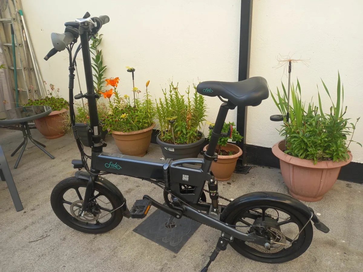 Electric bike - Image 1