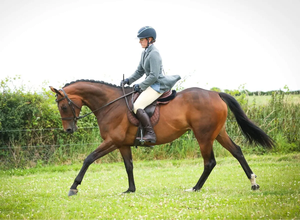 *Schooling/Sales prep* limited space available - Image 1