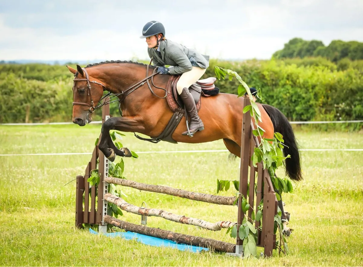 *Schooling/Sales prep* limited space available - Image 3