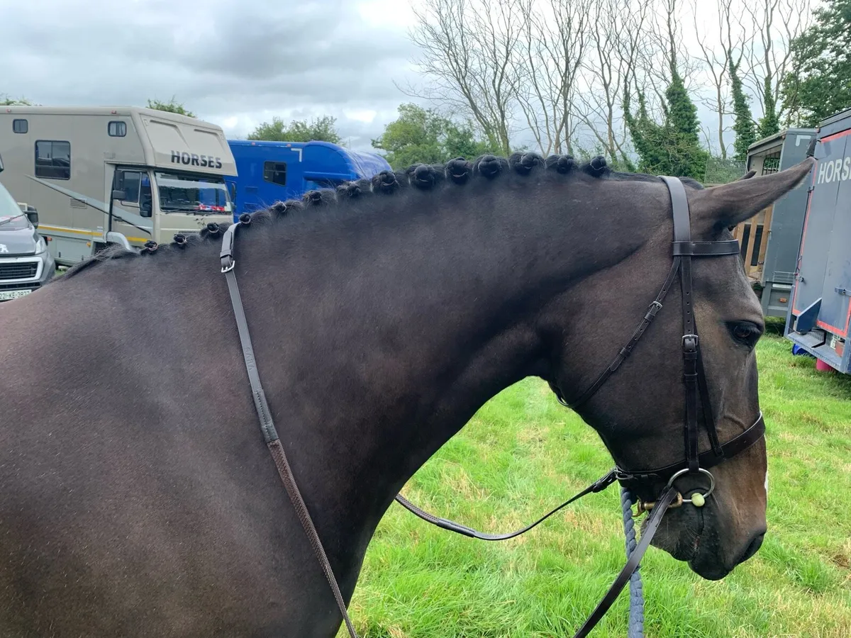 *Schooling/Sales prep* limited space available - Image 4