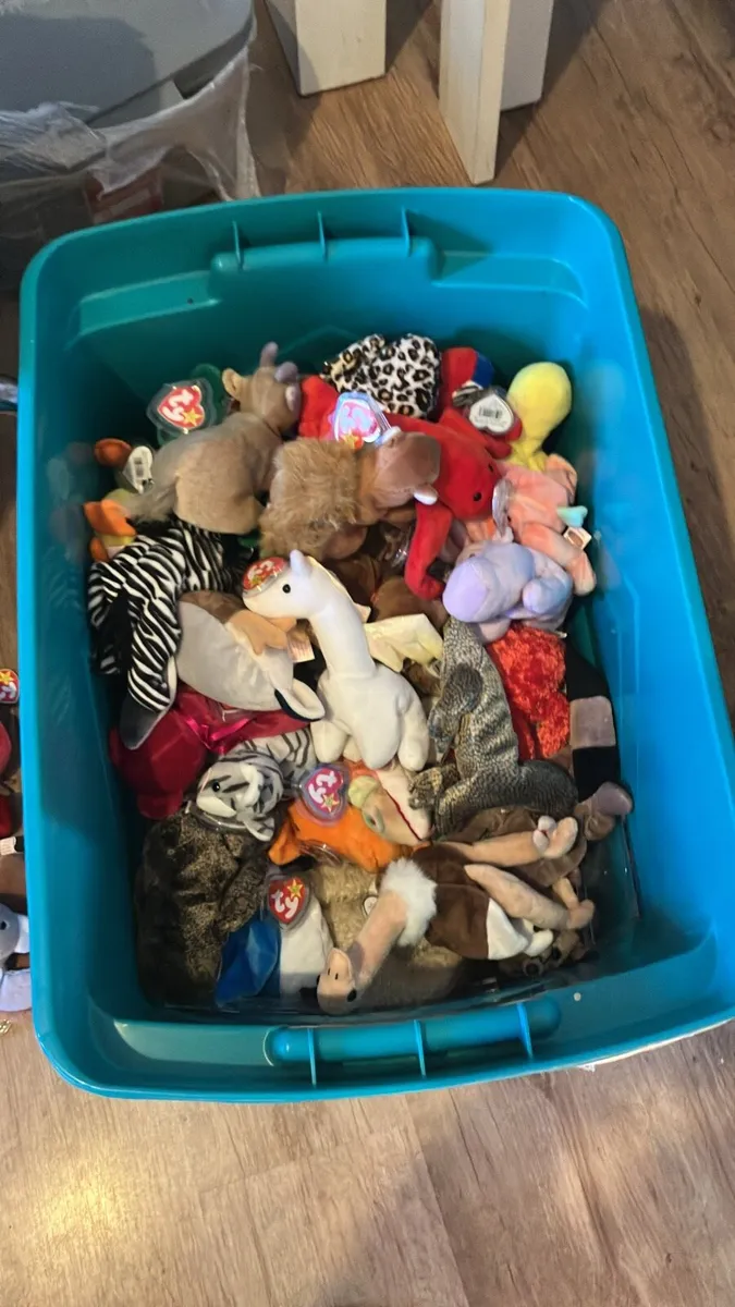 Beanie Baby Plush Toys - Stuffed Animals - Image 2
