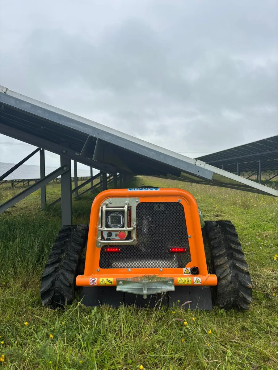 💥For Hire💥 Mdb remote mower. - Image 1