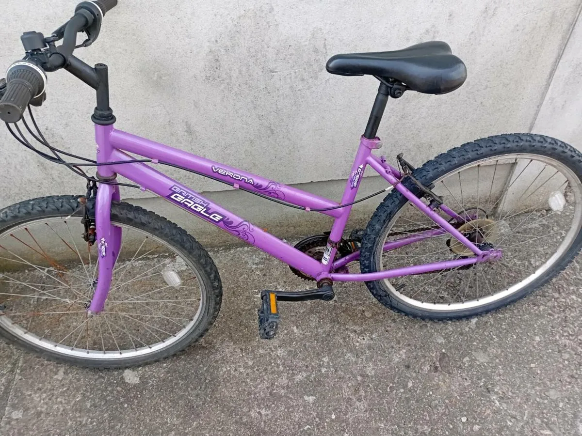Adult bike - Image 1