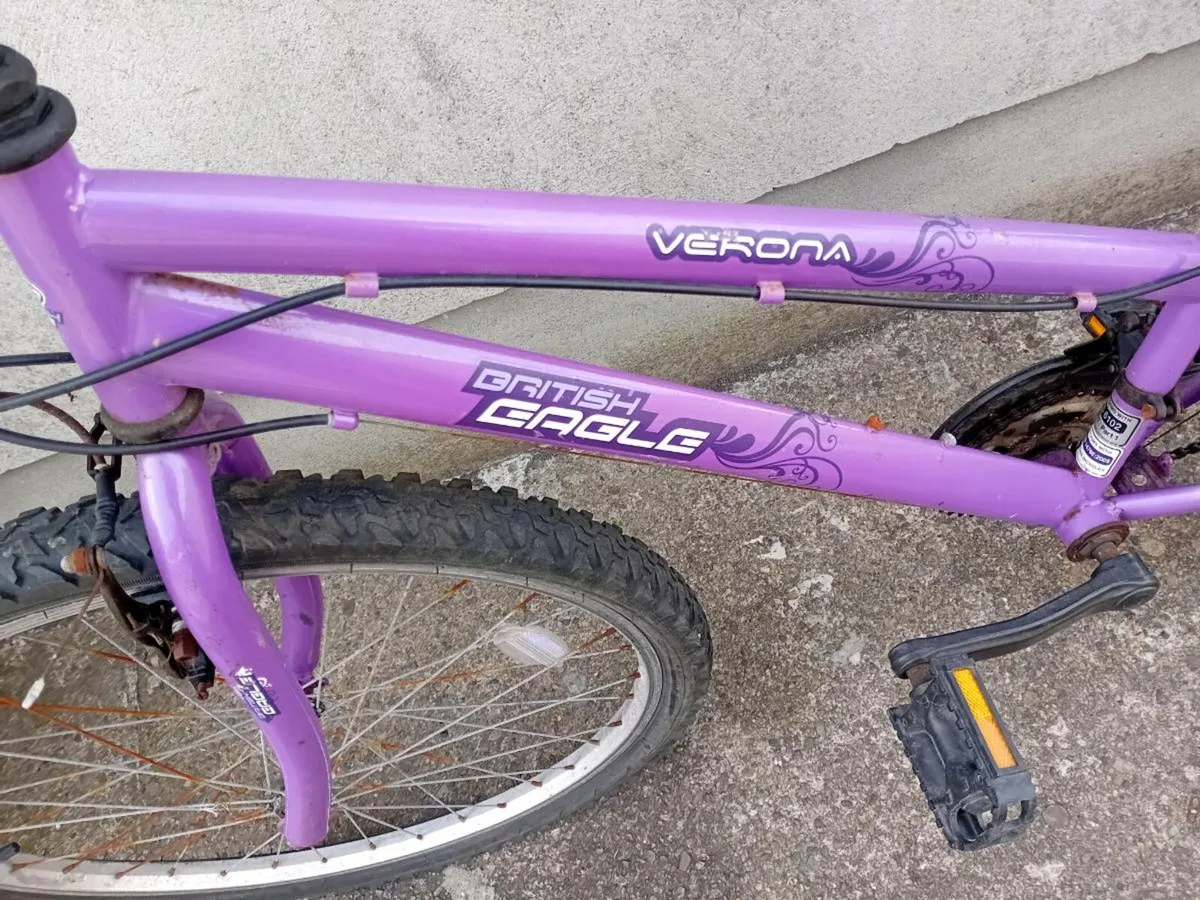 Adult bike - Image 4