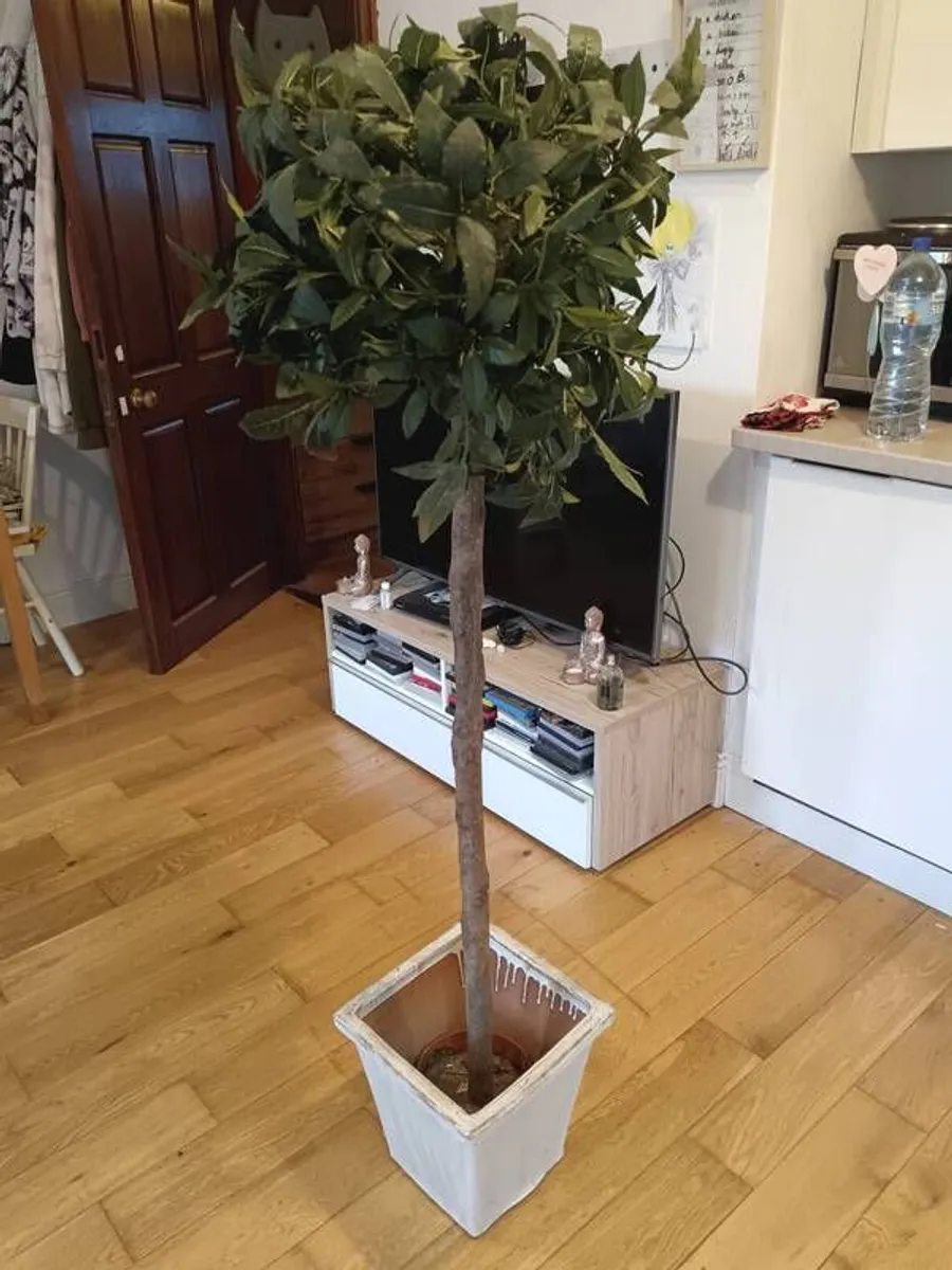 Artificial tree indoors - Image 1
