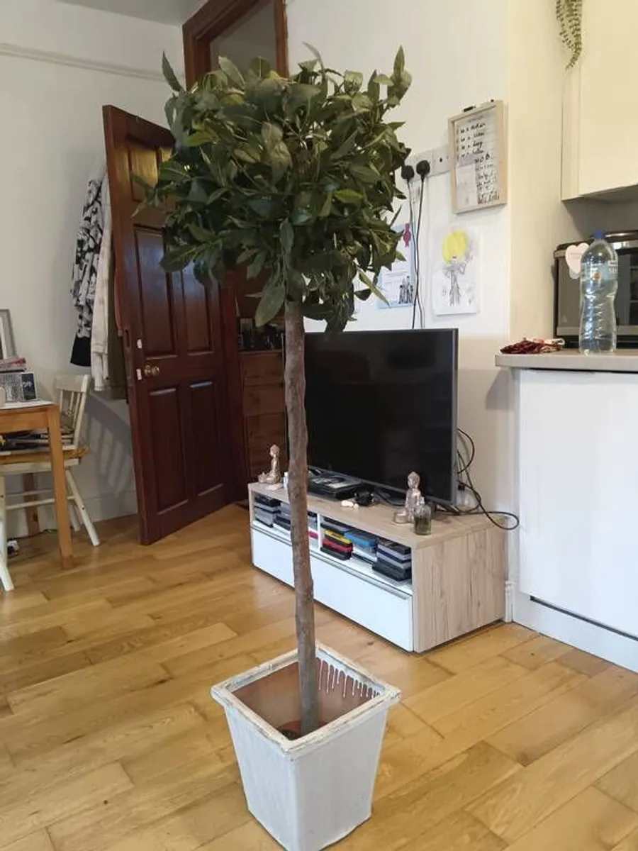 Artificial tree indoors - Image 2