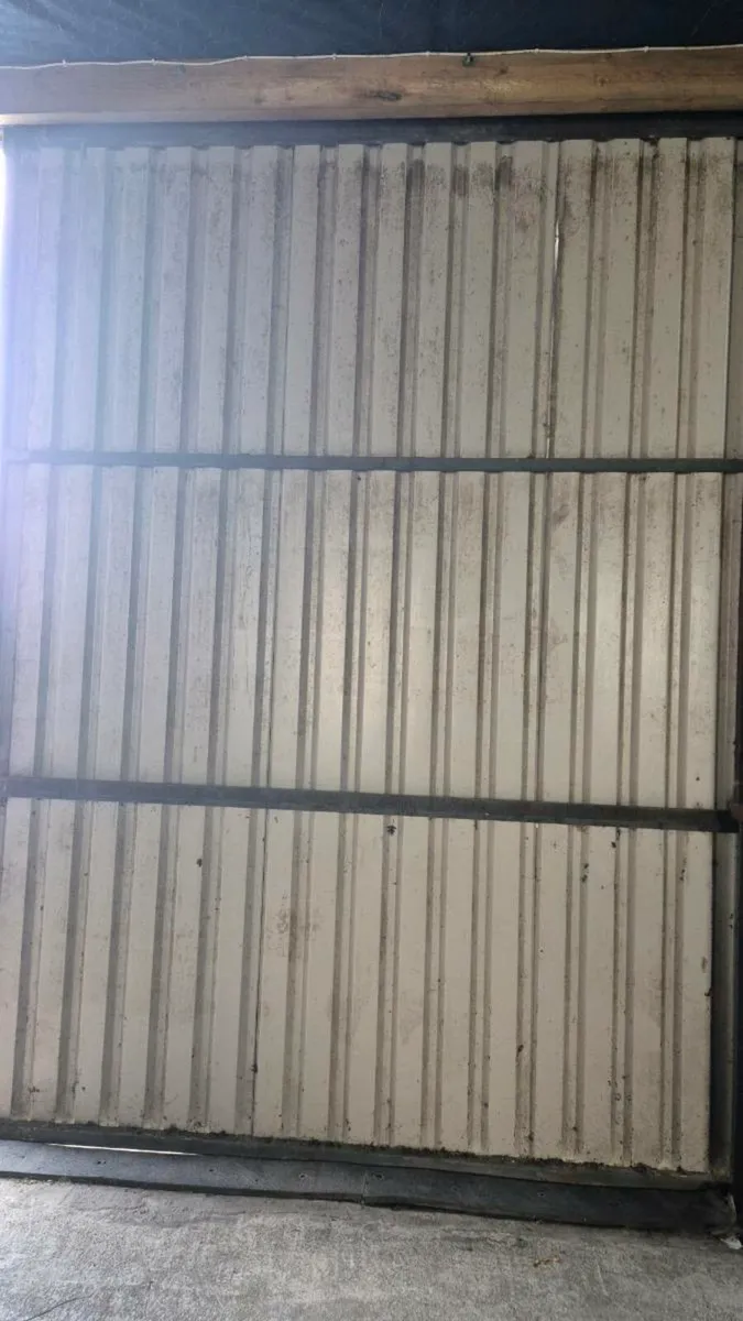 Shed door - Image 1