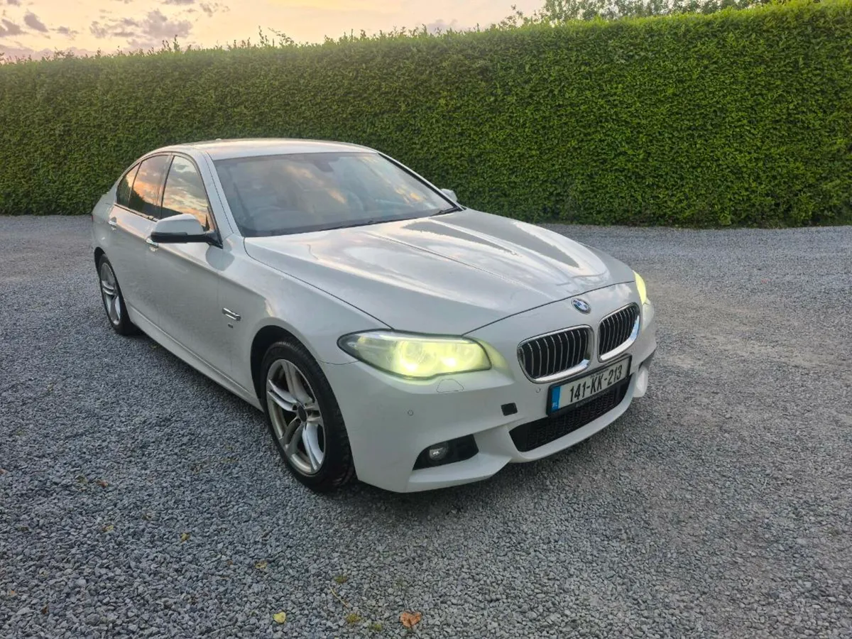 2014 Bmw 520d - Image 2