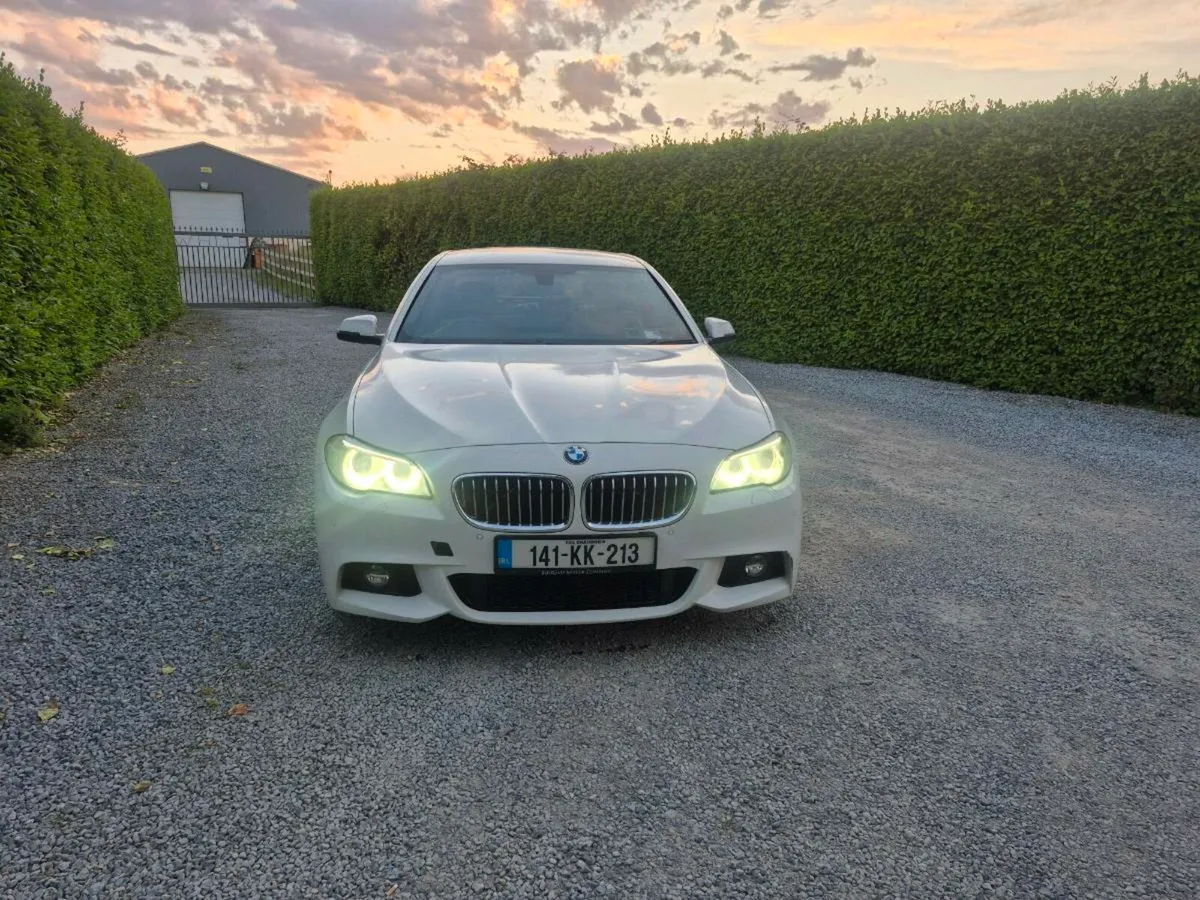 2014 Bmw 520d - Image 3