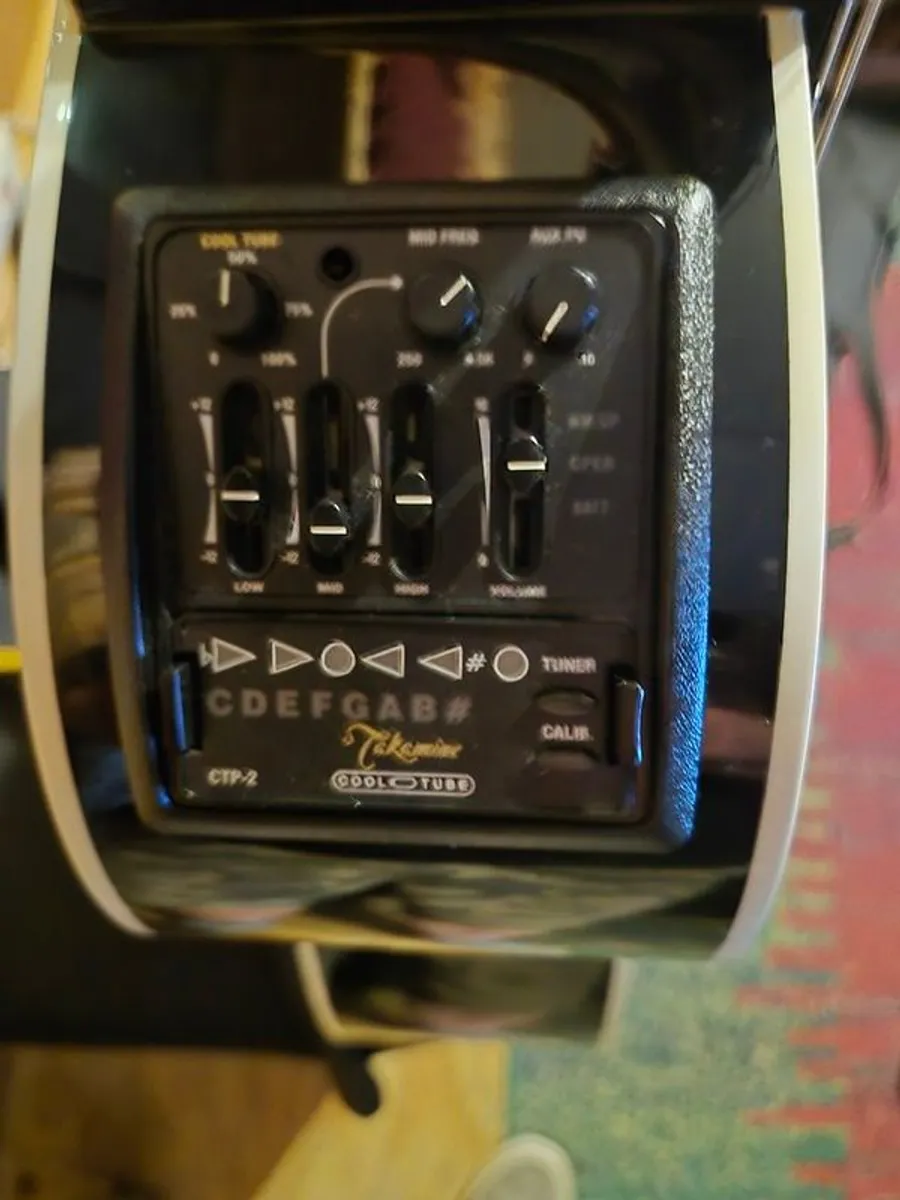 Takamine  Ltd Edition 2008 - Image 1