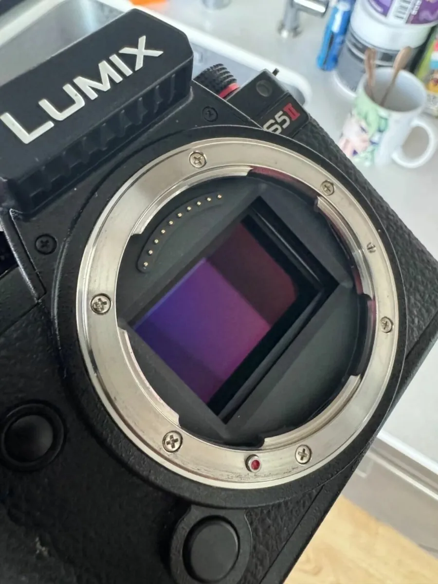 Panasonic LUMIX S5II 24.2MP system camera (body) - Image 3