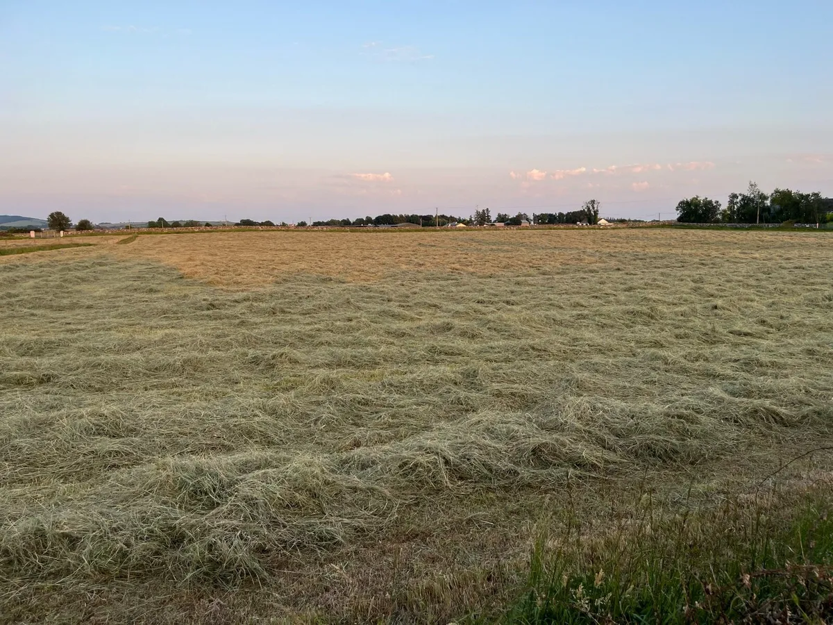 Hay - Image 1