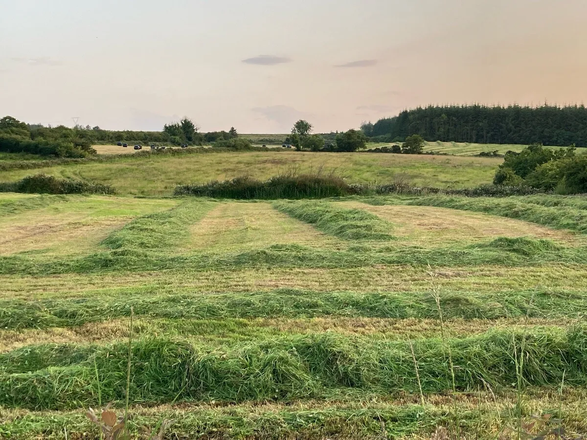 Silage Bales