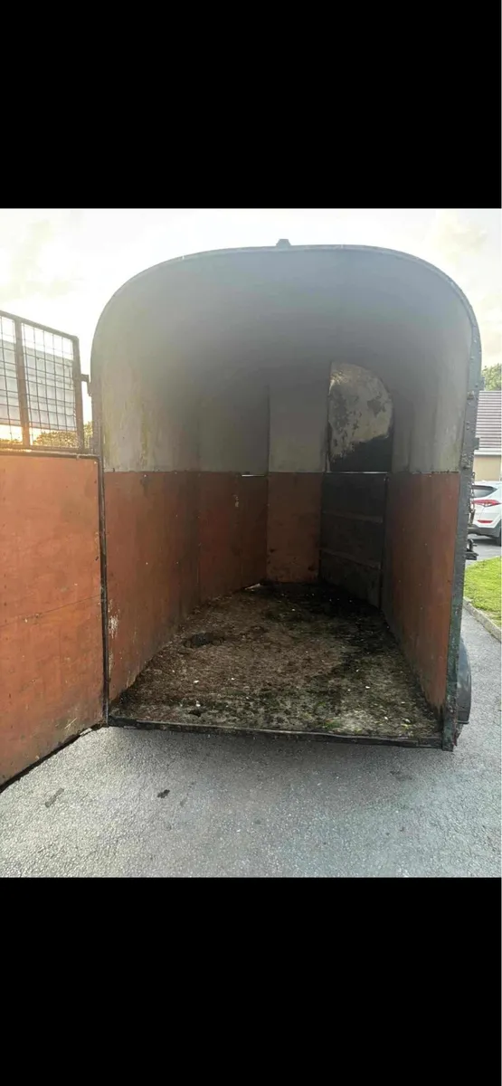 Monaghan horse trailer - Image 4