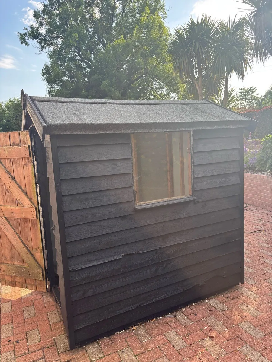 Dog shed/garden shed - Image 4
