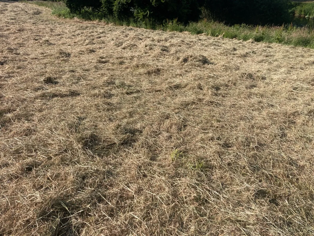 Hay bales - Image 2