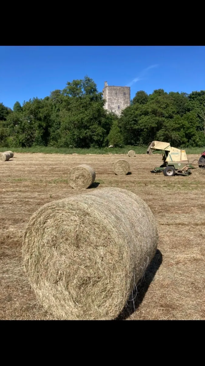 Hay bales - Image 1