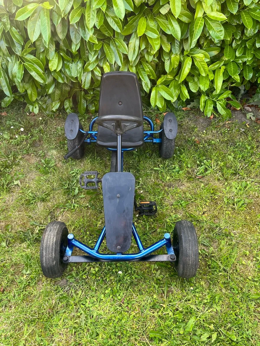 Berg go kart - Image 1