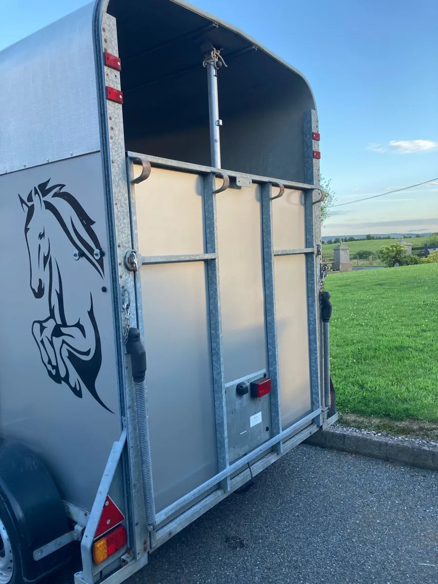 Ifor Williams 505 horse trailer - Image 1