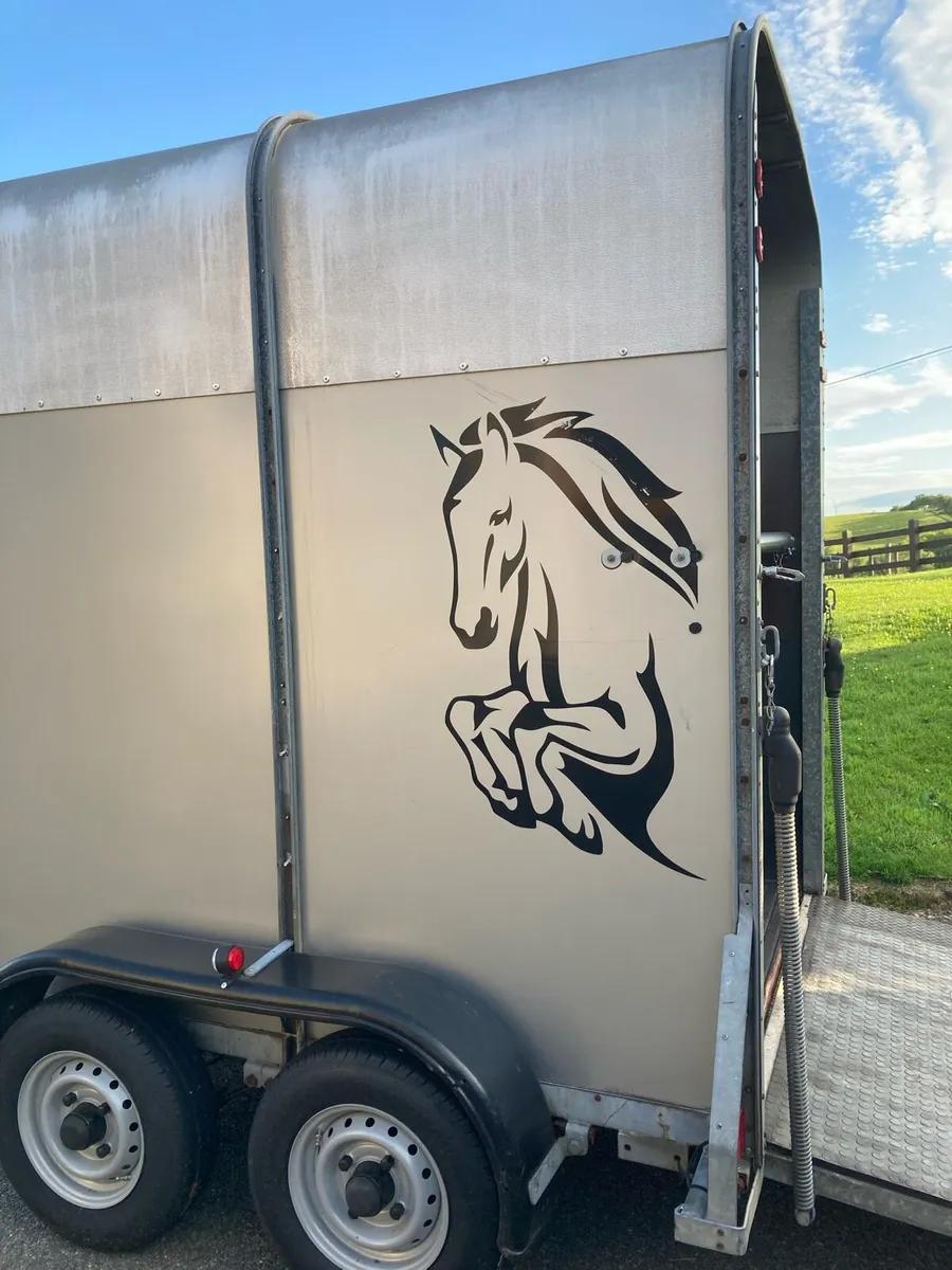 Ifor Williams 505 horse trailer - Image 2