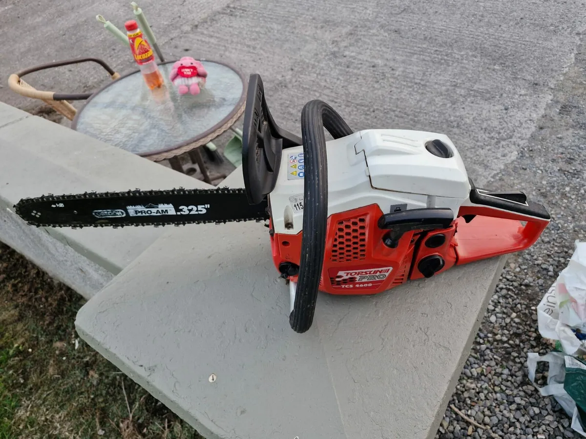 Chainsaw - Image 2