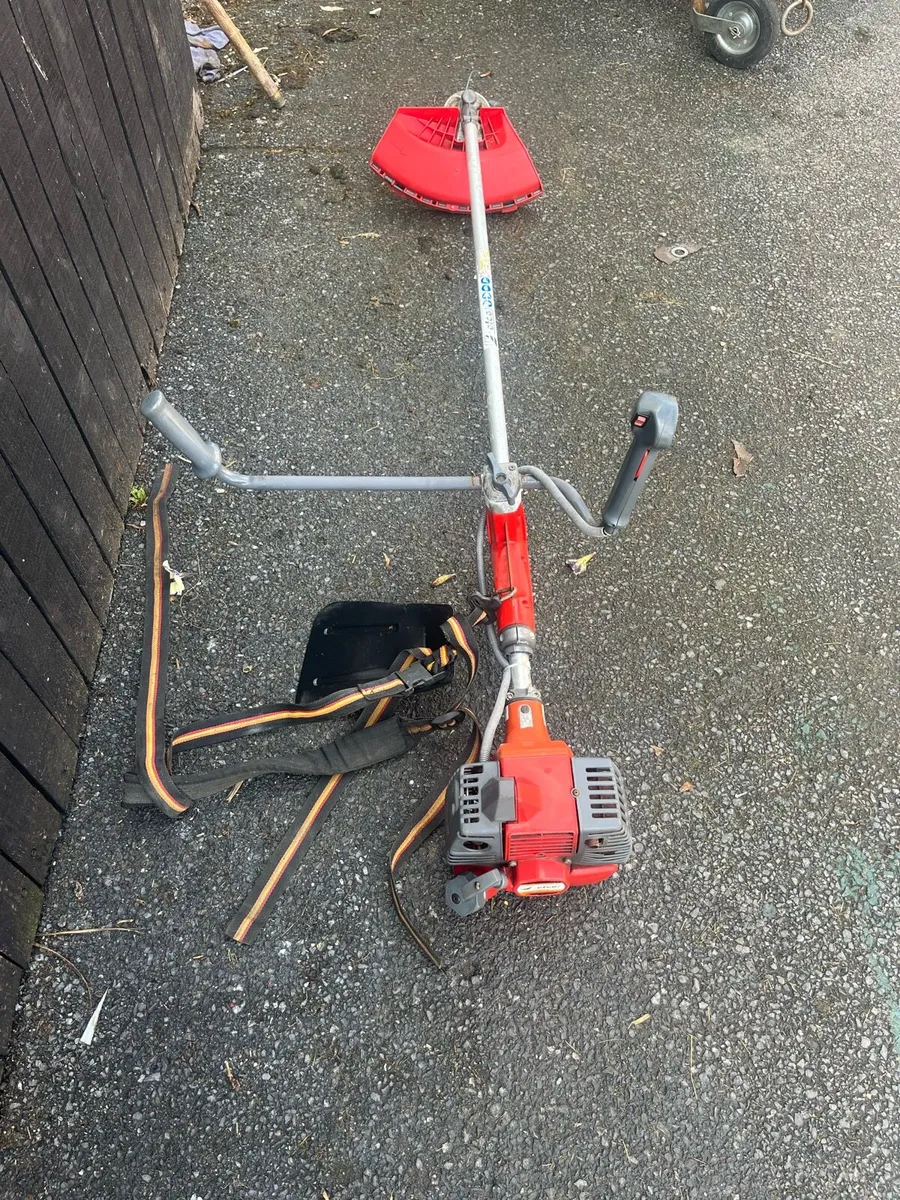 Strimmer - Image 1