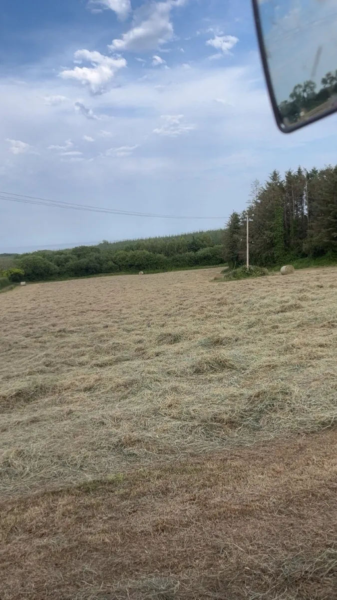 Hay for sale bailing tomorrow - Image 2