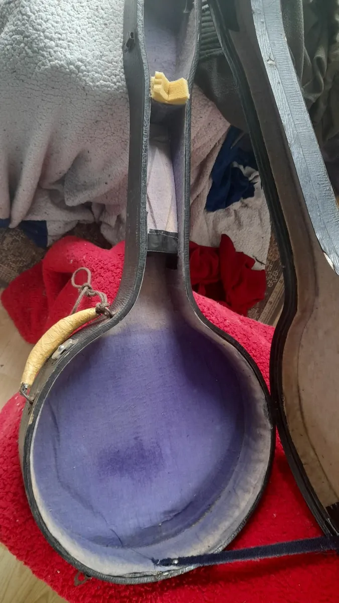 Tenor 4 string banjo - Image 2