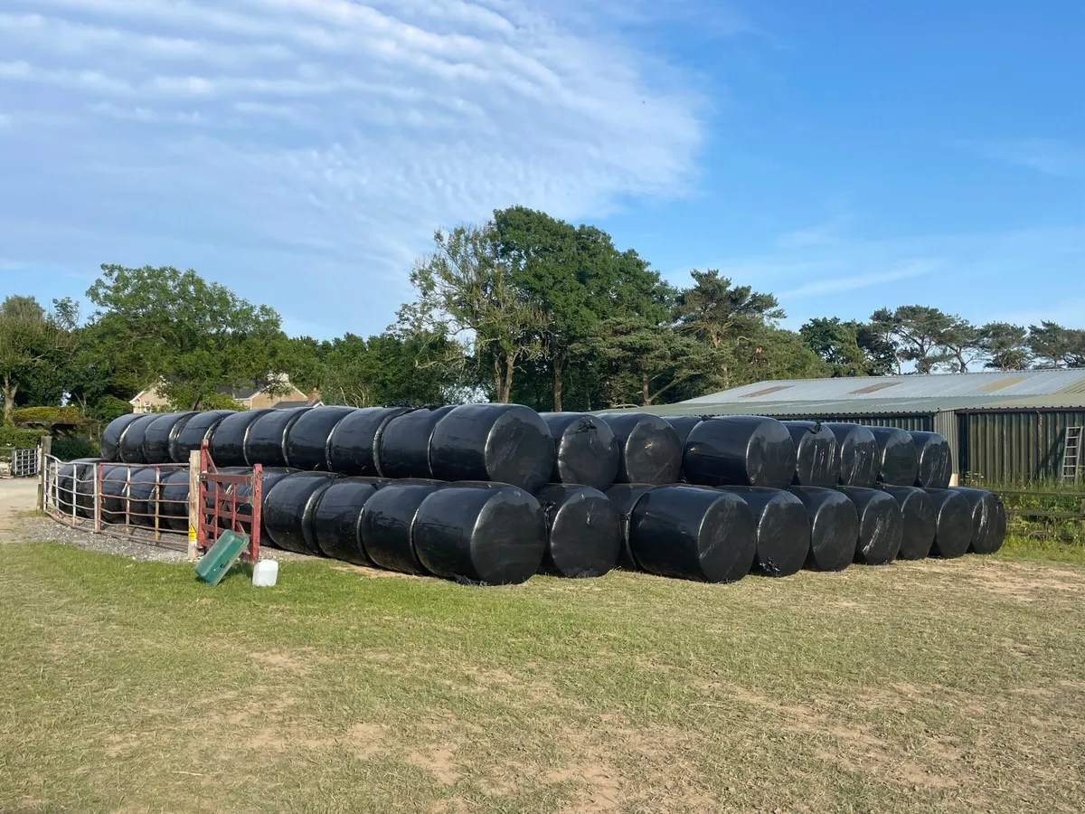 Silage bales - Image 1