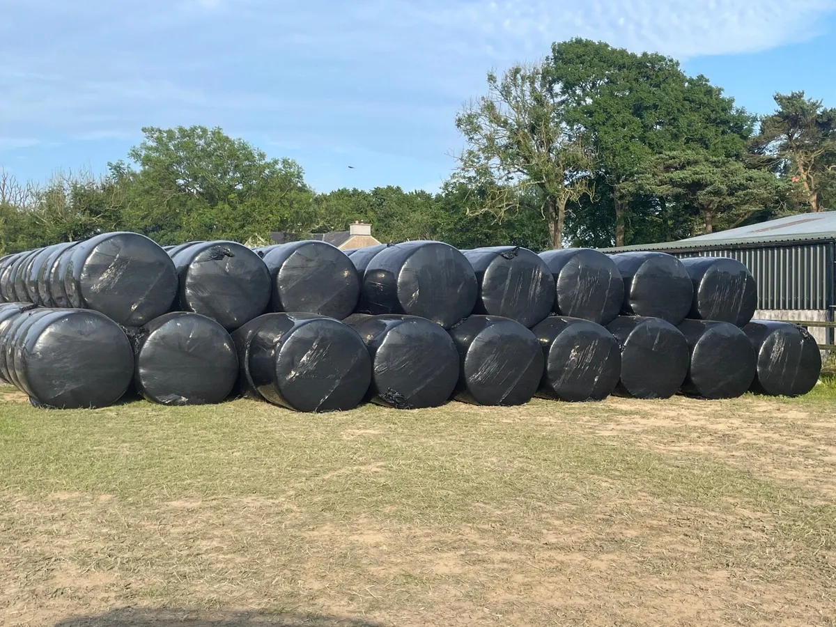 Silage bales - Image 2