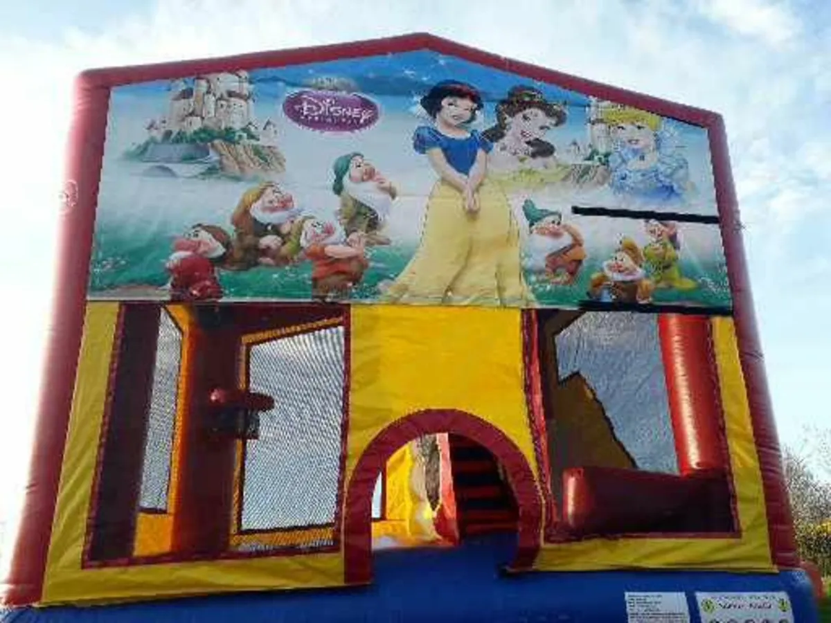 Bouncy Castles - Image 3