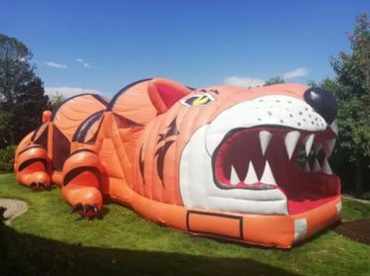 Bouncy Castles - Image 1