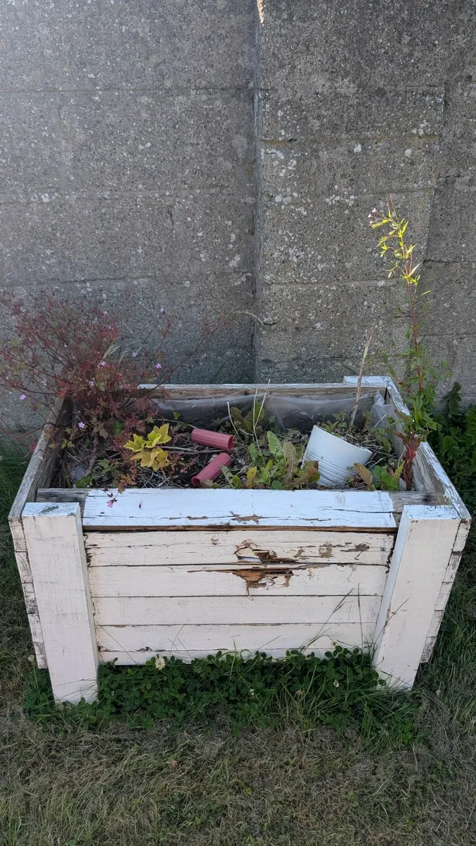 Free to take away - Image 3
