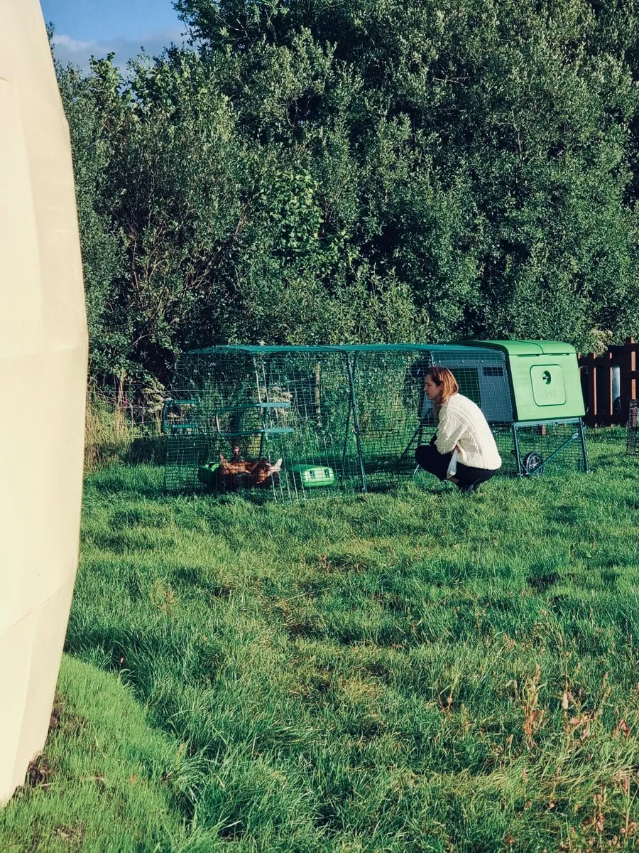 Hen Boarding - Image 1