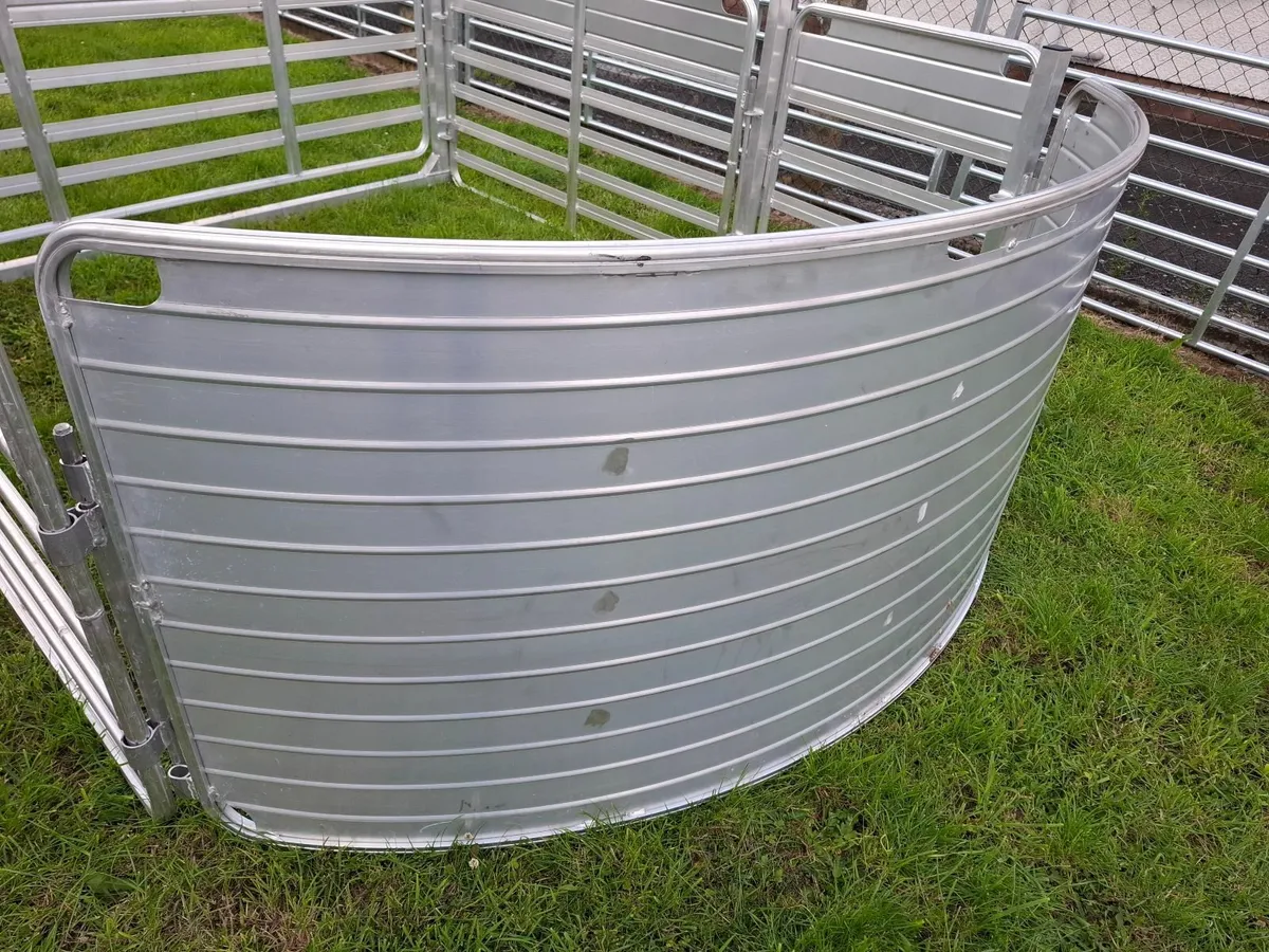Sheep Hurdles & Systems - Image 1