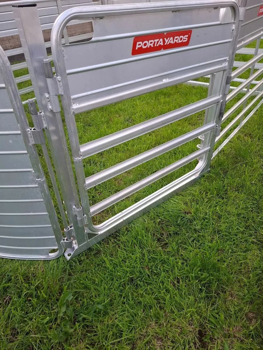 Sheep Hurdles & Systems - Image 1