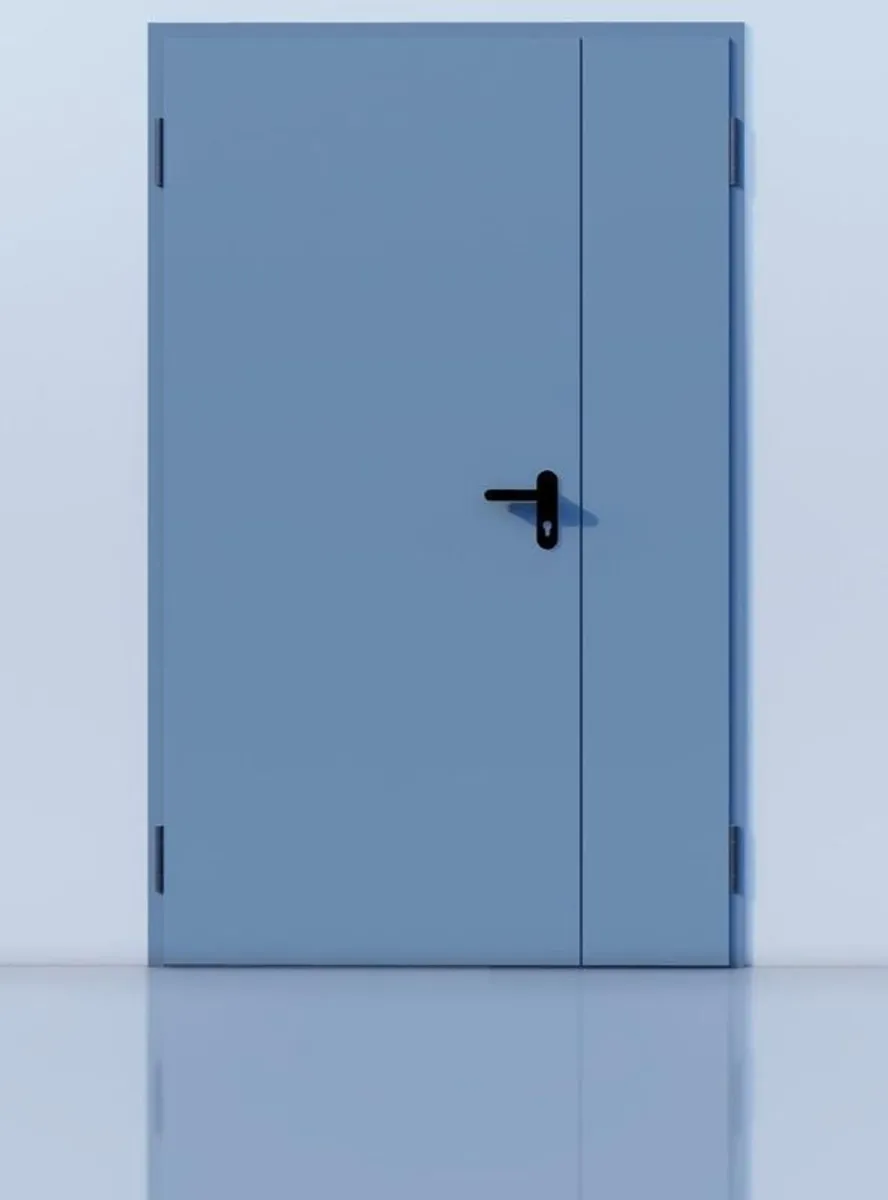 Steel Doors - Image 4