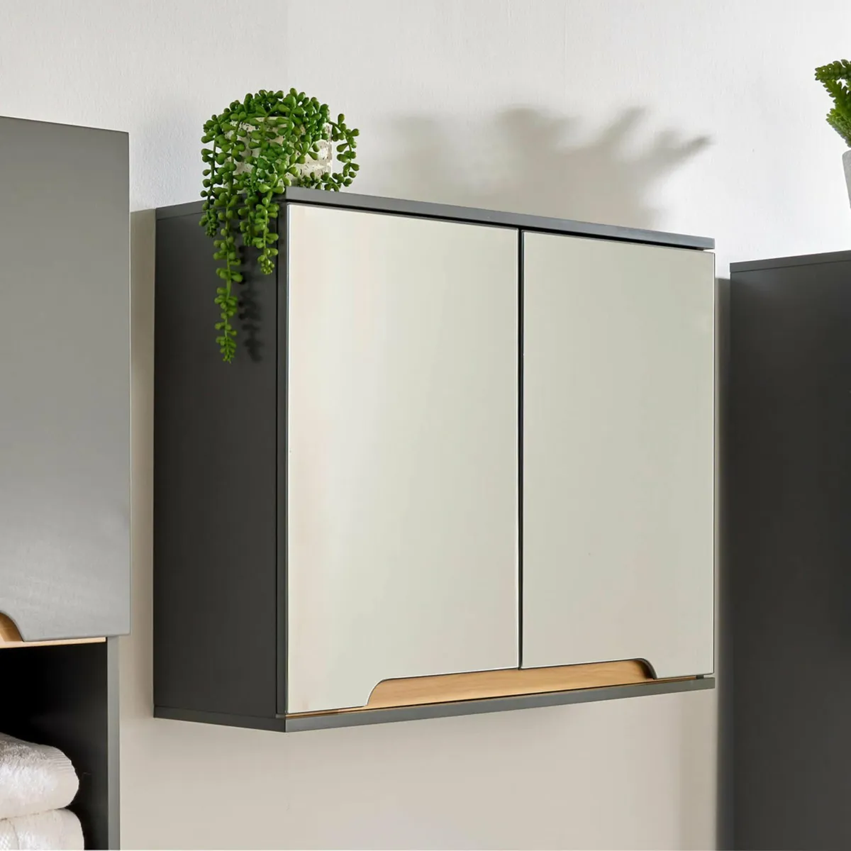 Bathroom Mirror - Image 3