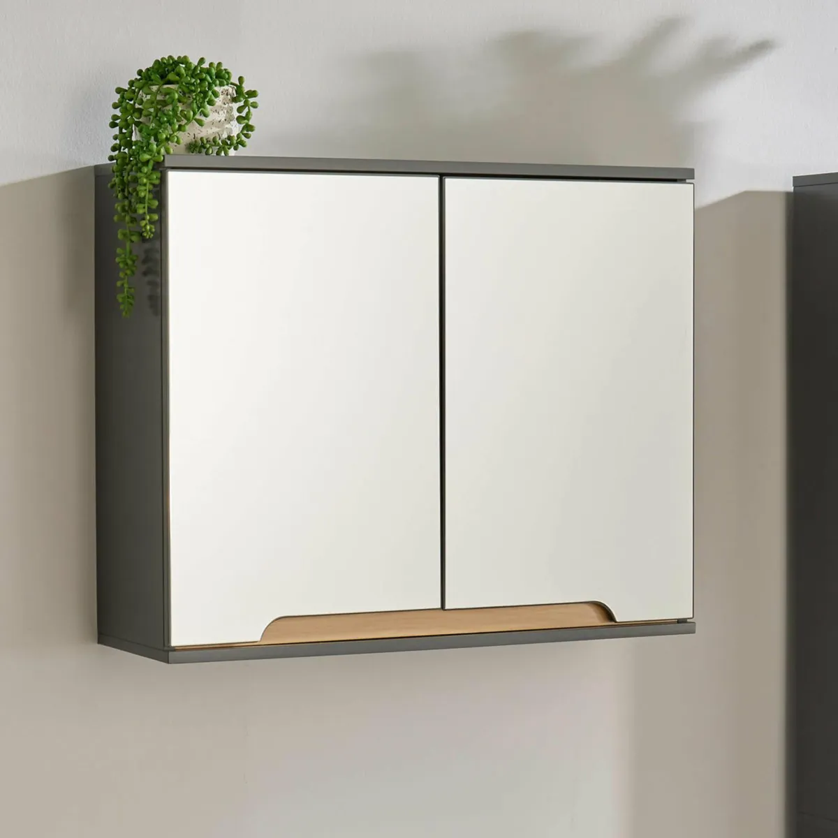 Bathroom Mirror - Image 4