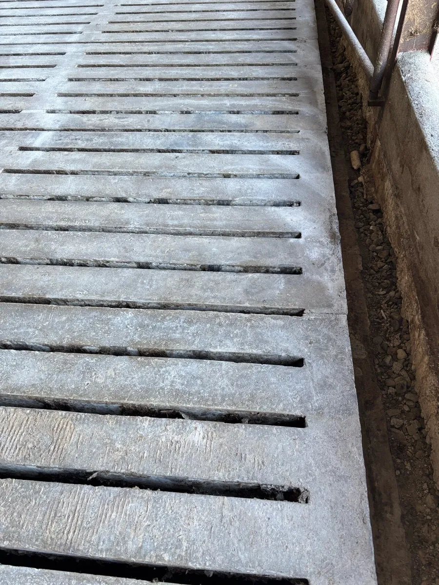 Concrete Slats from Slatted Shed - Image 2
