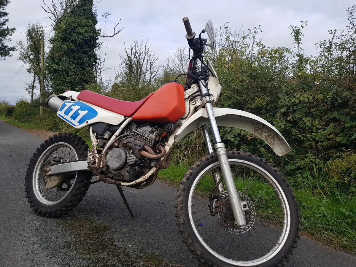 Honda xr250 looking - Image 2