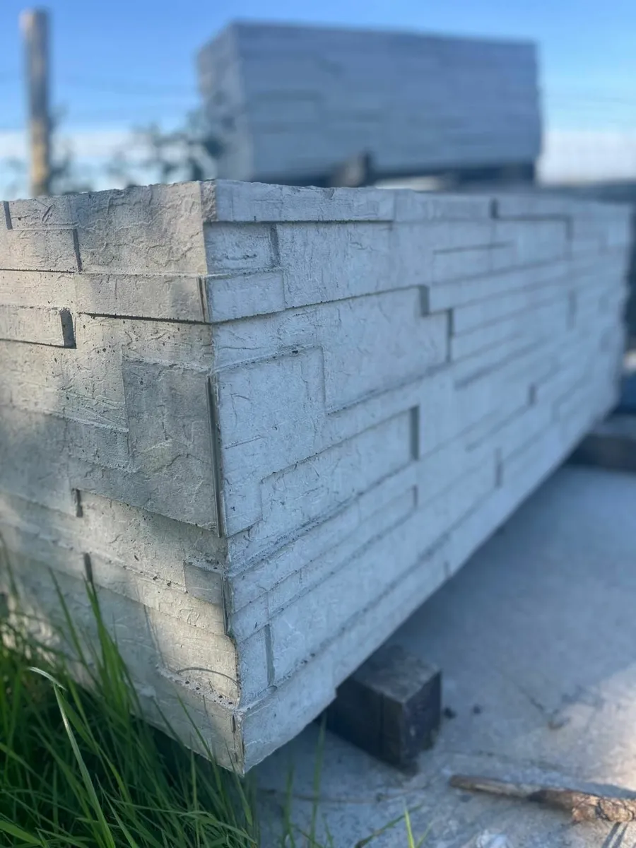 Concrete planters - Image 1