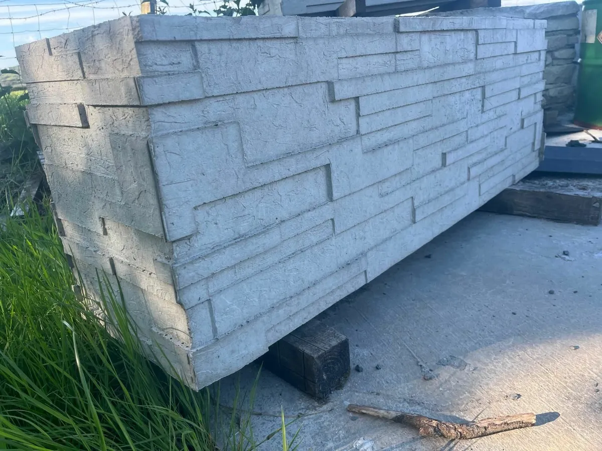Concrete planters - Image 2