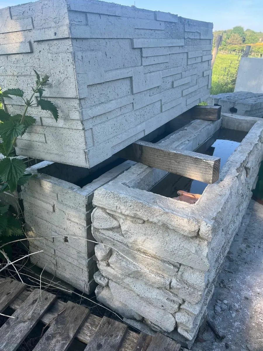 Concrete planters - Image 4
