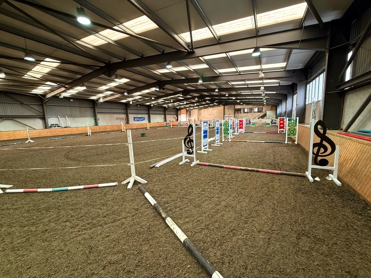 Loose Jumping Arena - Image 2