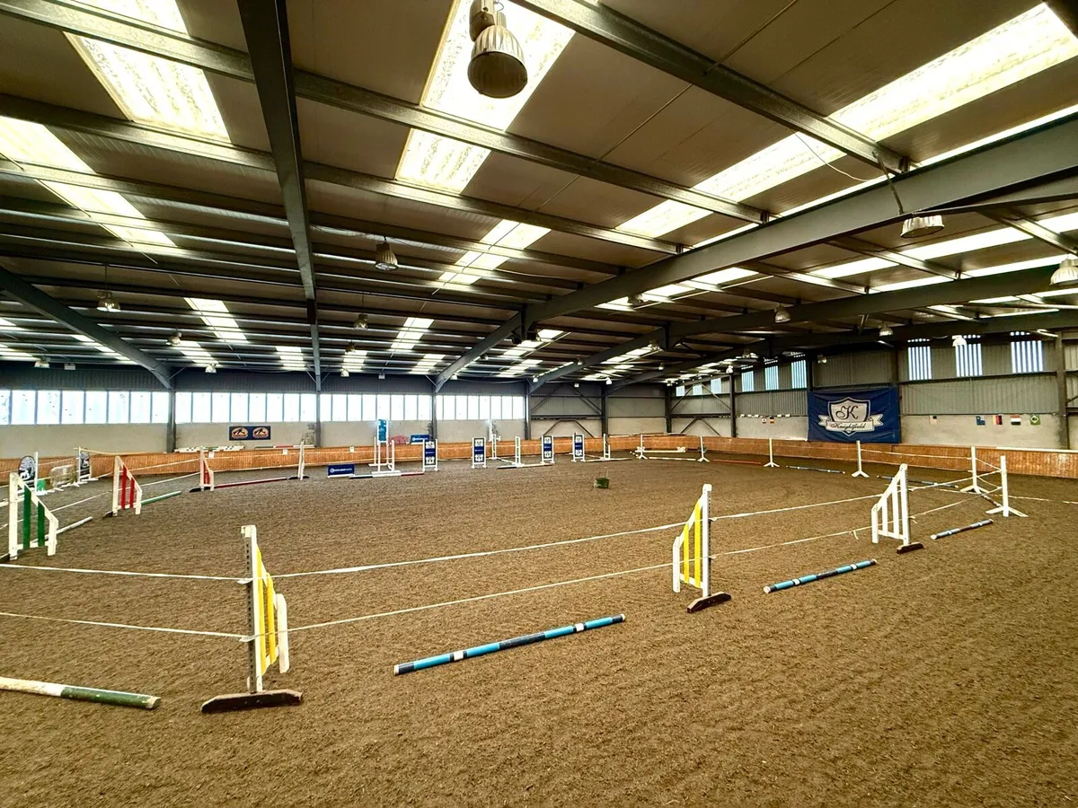 Loose Jumping Arena - Image 3