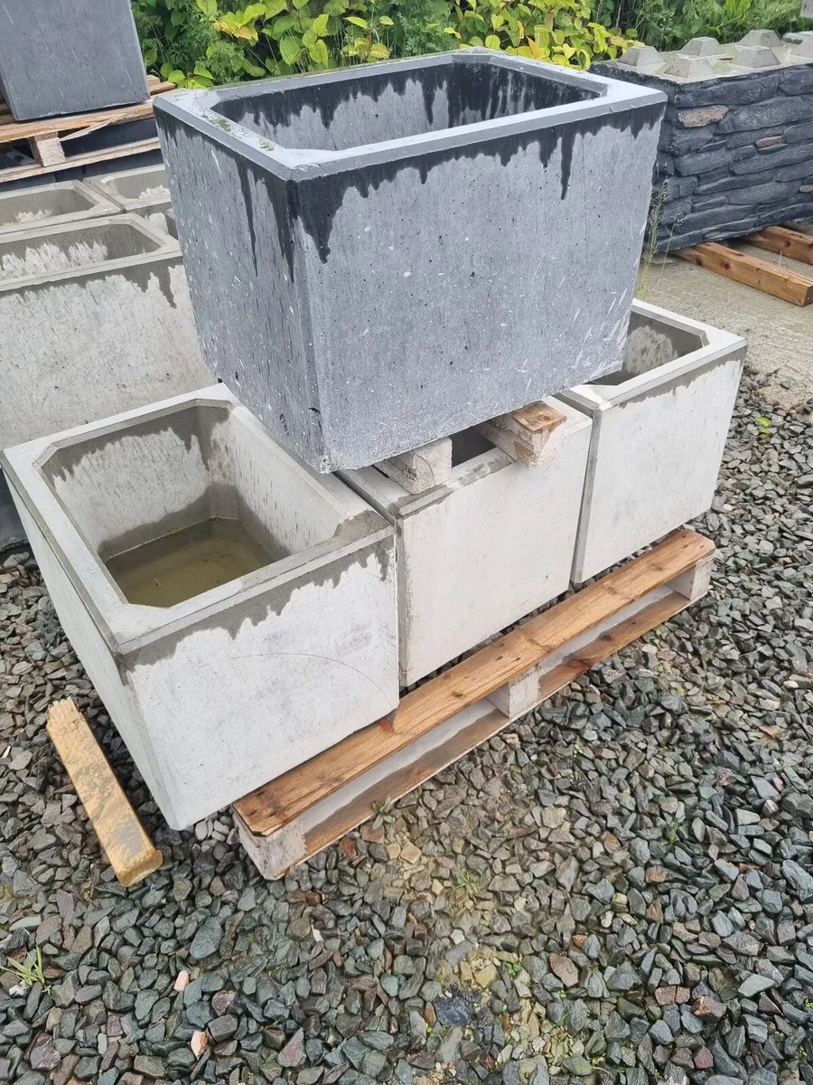 Concrete planters - Image 4