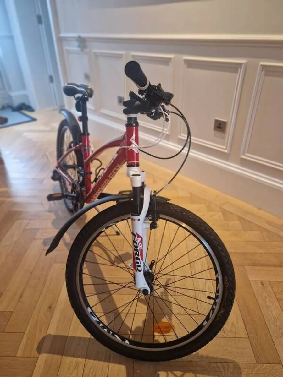 Perfect condition 24" bike. - Image 3
