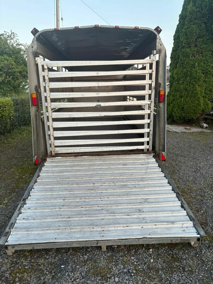 Cattle trailer - Image 2
